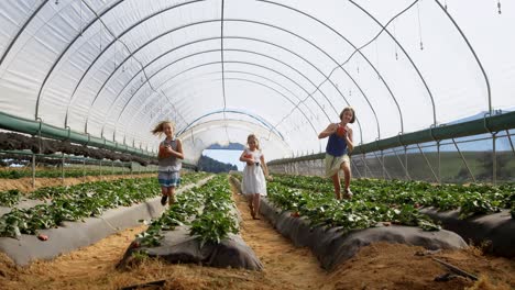 Girls-running-with-bucket-of-strawberries-in-the-farm-4k