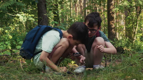 dos niños descubriendo algo en el bosque.