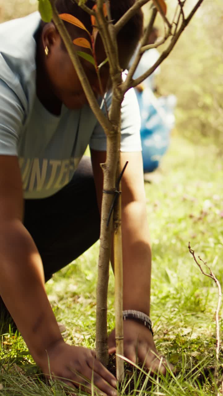 Woman Volunteer Planting a Young Tree in a Grassy Field