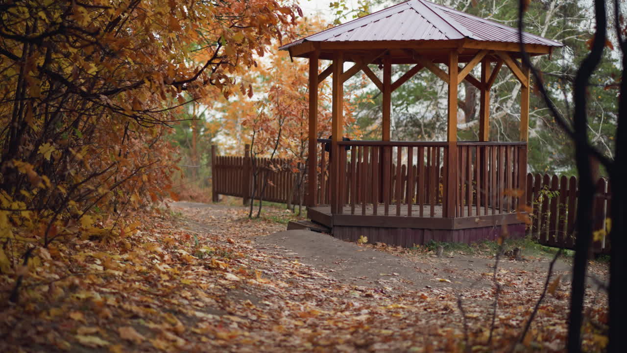un mirador de madera rodeado de un paisaje de otoño con hojas secas caídas esparcidas por todas partes, una hoja cayendo del mirador y árboles verdes en el fondo que crean una atmósfera pacífica de otoño