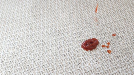 ketchup stain on a light-colored fabric surface
