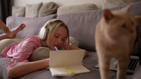 woman relaxing and working on couch with cat