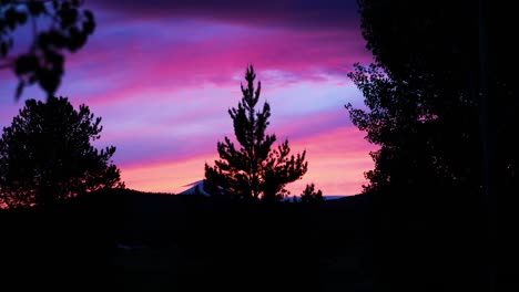 hermoso cielo rosa de puesta de sol con siluetas de árboles en sunriver resort en el centro de oregon, ee.uu.