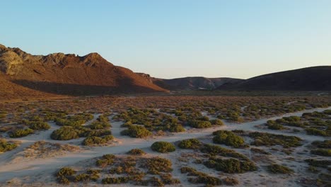 Goldene-Stunde-über-Der-Wüstenlandschaft-In-Mexiko,-Umgeben-Von-Hügeln-In-BCS-Mexiko