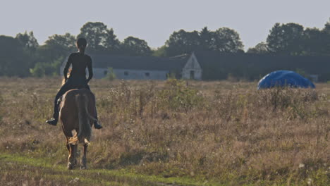 horse with rider galloping near forest, equestrian training outdoors