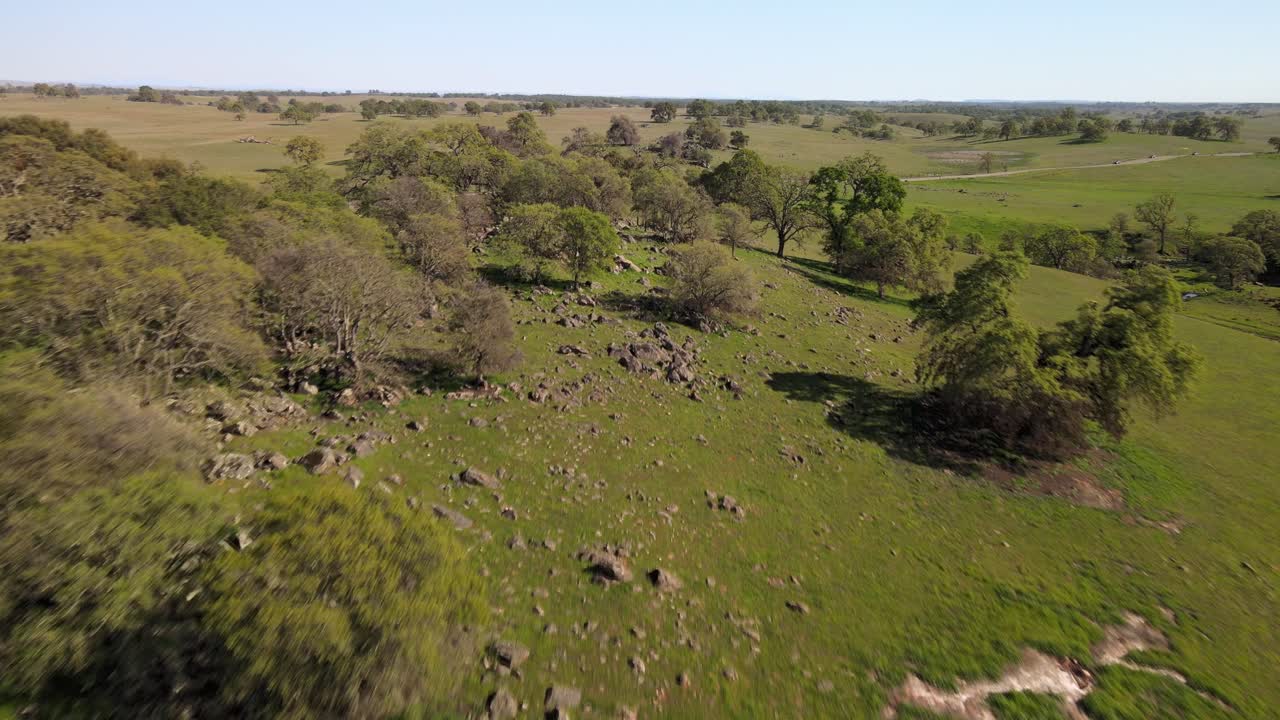 Paesaggio della California centrale, valli, praterie e colline in un pomeriggio soleggiato