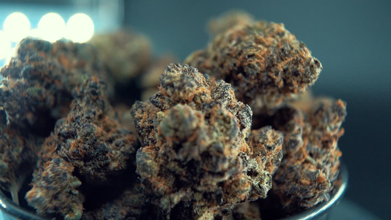 A macro cinematic detailed shot of a cannabis plant, orange hybrid strains, Indica and sativa , green marijuana flower, on a 360 rotating stand, slow motion, 4K video, studio lighting