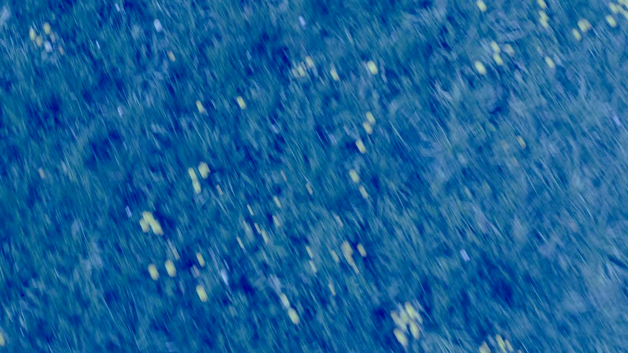 el fondo abstracto, el movimiento borroso.