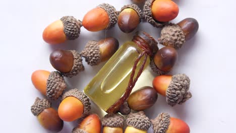 acorns and oil