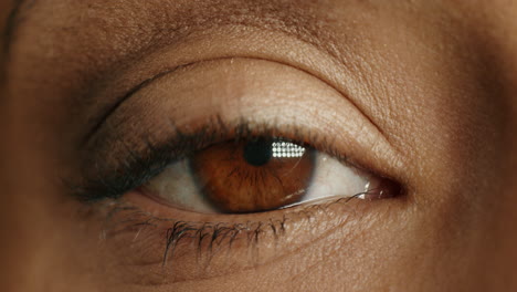 close up macro brown eye blinking natural human beauty healthy eyesight concept