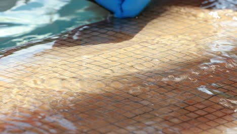 swimming pool water texture in slow motion