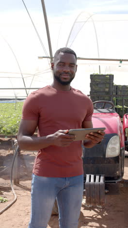 vertical video: managing hydroponic vegetable garden in greenhouse, farmer holding tablet