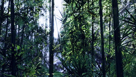 lush bamboo forest with vibrant foliage and sunlight filtering through