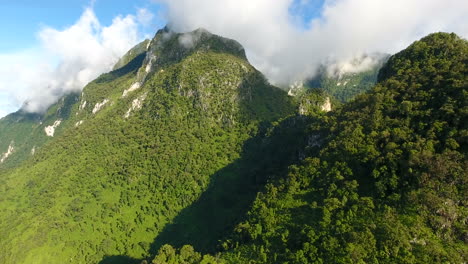 Aerial-view-of-mountain-and-forest.