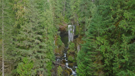 peekaboo view of falls creek falls in gifford pinchot national forest, framed by evergreen trees.
