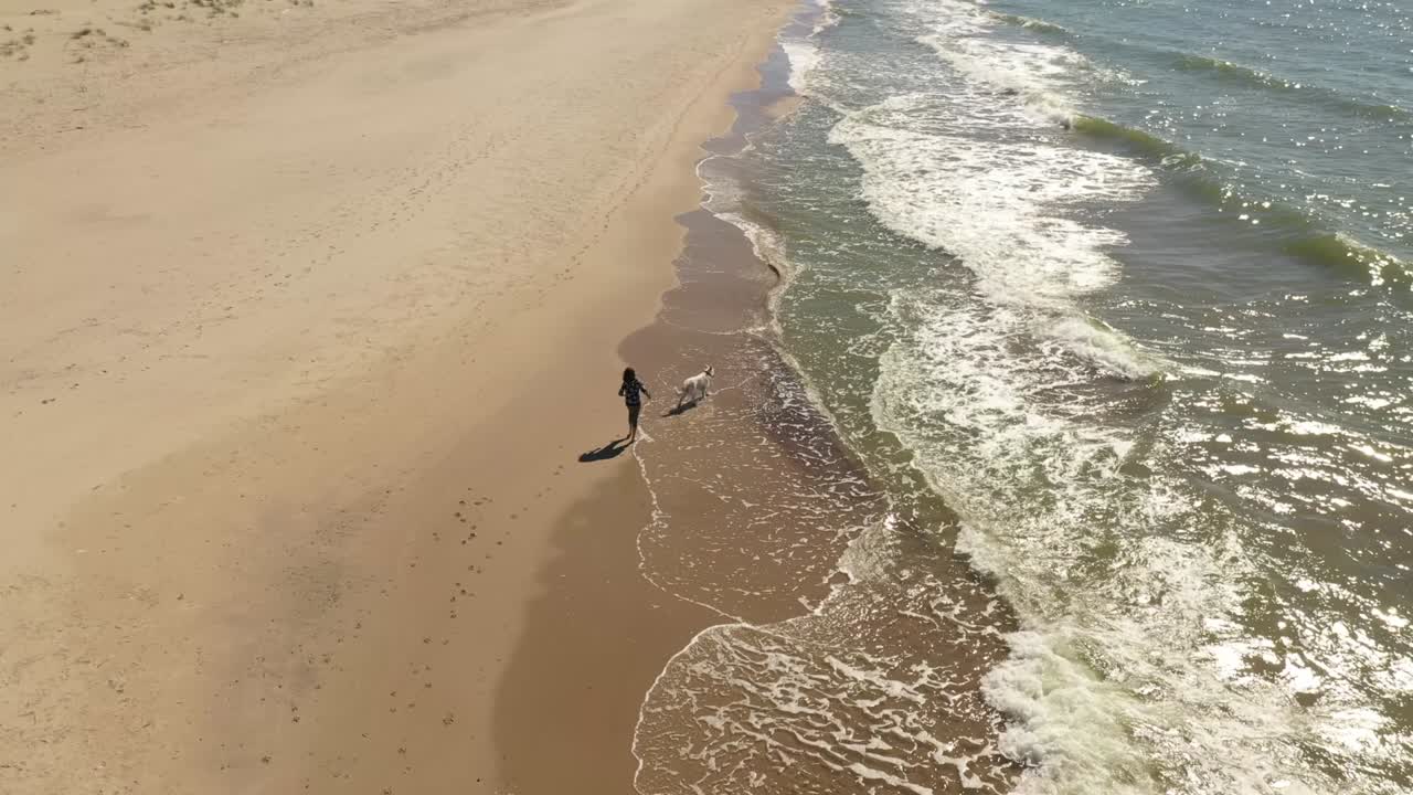 어린 소녀가 해변을 따라 개와 함께 달리고 있습니다.