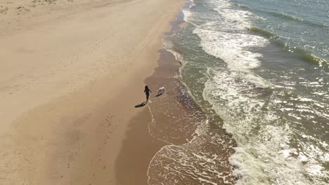 young girl is running with her dog along the beach