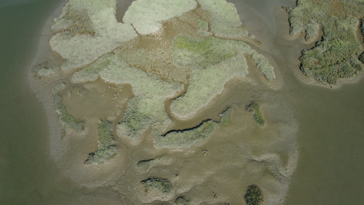 vista de arriba hacia abajo del pantano o marisma durante el verano - toma aérea de drones