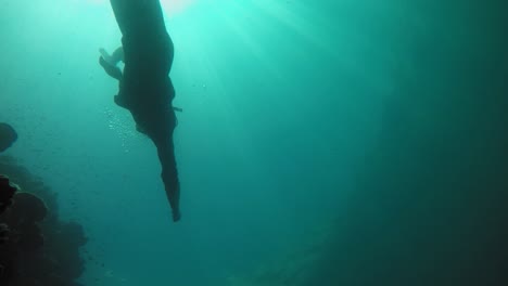 A-diver-rising-to-the-surface-after-an-ocean-adventure-in-the-waters-of-Koh-Kradan,-Thailand---underwater