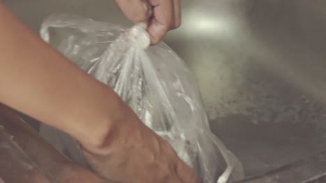 Candid-peaceful-moment-of-daily-home-life-as-shown-by-hands-taking-fresh-fish-from-a-plastic-bag-to-be-washed-in-the-kitchen-sink