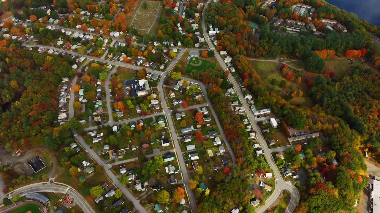 Numerous cottages in the beautiful nature. Beautiful trees starting to change colors in autumn. Aerial view.