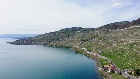 drone flyover de derecha a izquierda mostrando la línea de costa, el pueblo y los viñedos en un lago en suiza
