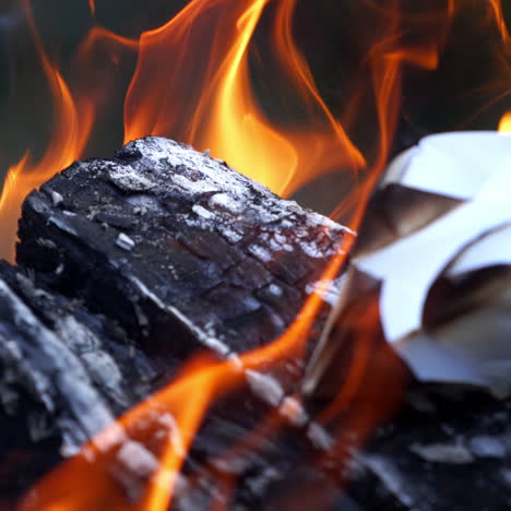 bonfire. burning logs in orange flames. beautiful fire burns brightly. embers of the fire climb up.