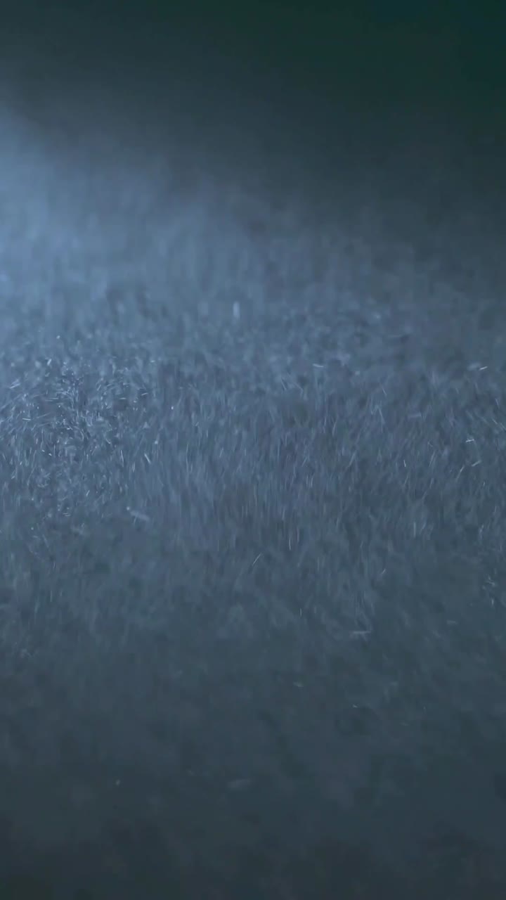 Dynamic Dust Particles Floating Against a Dark Background