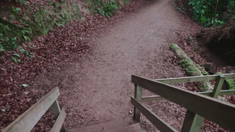 mudarse de escalones de madera al parque forestal