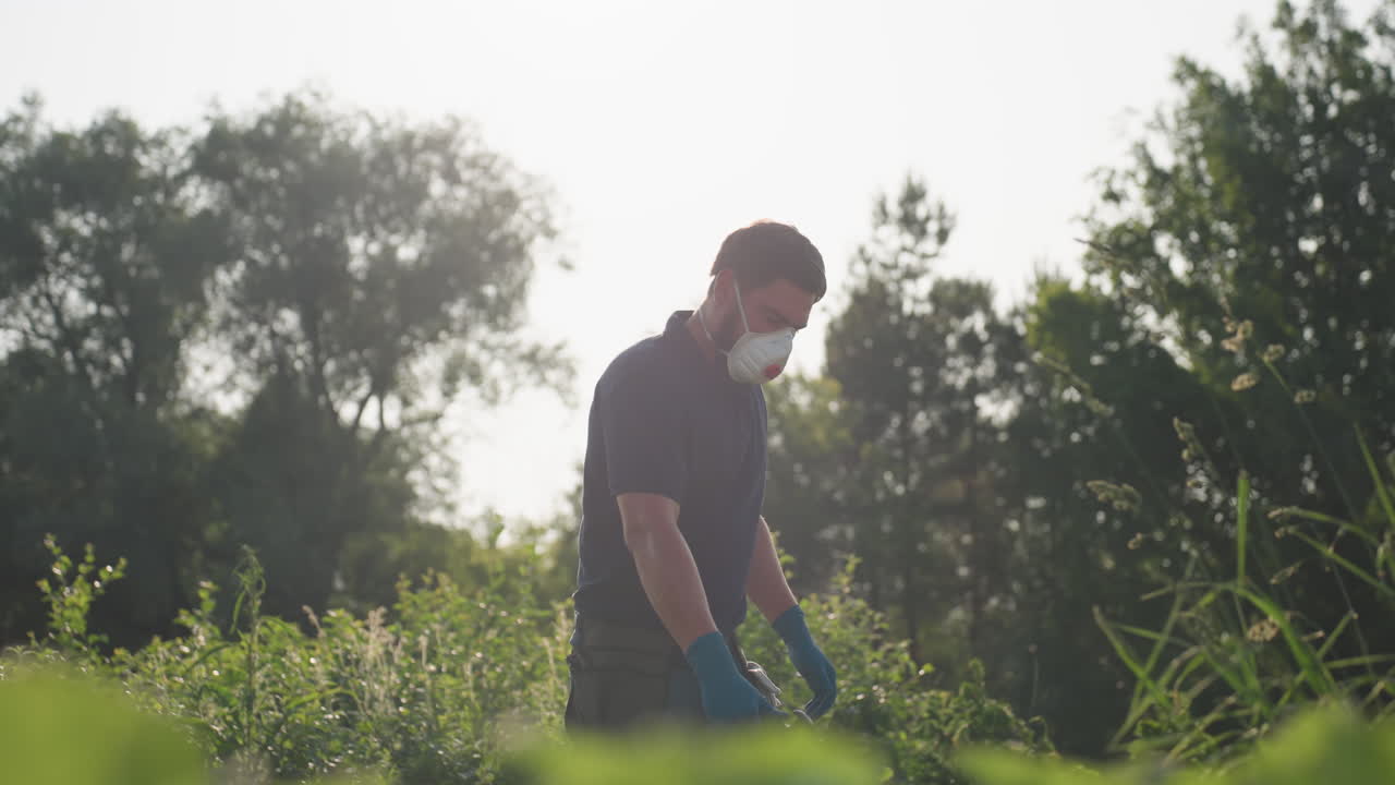 Gardener wearing protective nose mask stands outdoors under bright sunlight surrounded by green plants, preparing to begin fumigation work in lush garden area during warm day