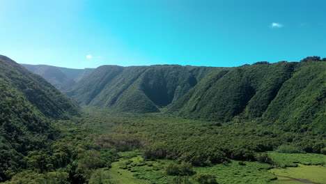 drone footage of pololu valley on the big island of hawaii