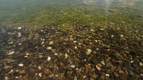 calm surface of the lake with beautiful colorful pebbles on the floor under clear transparent water and small fish swimming