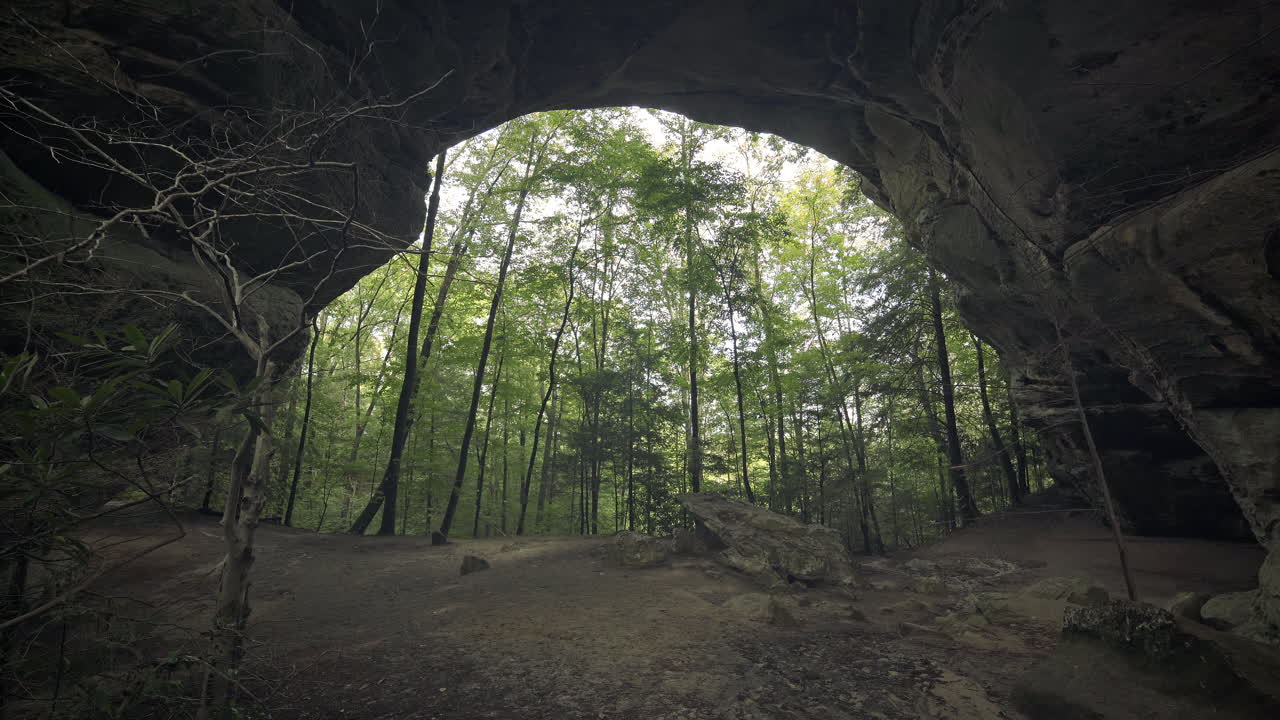 ancho de arco de roca natural con exuberante bosque caducifolio que sopla en la brisa, 4k