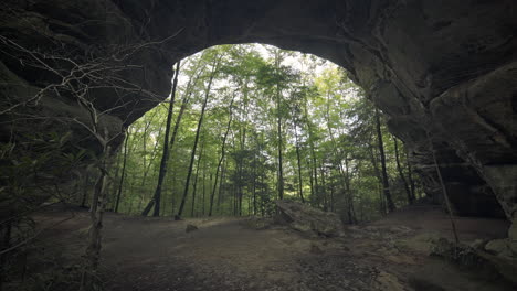 wide of natural rock arch with lush deciduous forest blowing in breeze, 4k