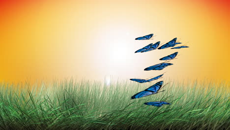 animación de mariposas 3
