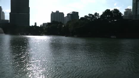 Looking-at-the-river-in-a-public-park