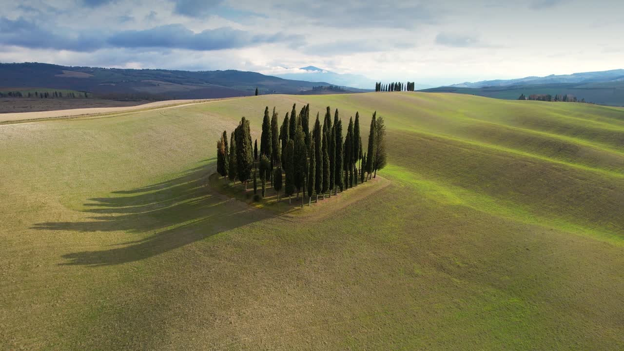 토스카니의 푸른 언덕에서 봄 기간 동안 사이프러스의 그룹. 이탈리아의 val d'orcia에 있는 사이프러스들의 원형 공중 사진.