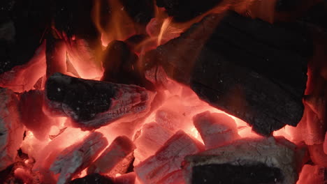 Coals-in-the-fire