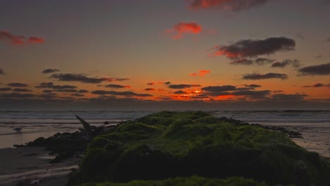 puesta de sol roja sobre una playa con siluetas de gaviotas salvajes, dos de ellas vuelan - concepto para un viaje romántico