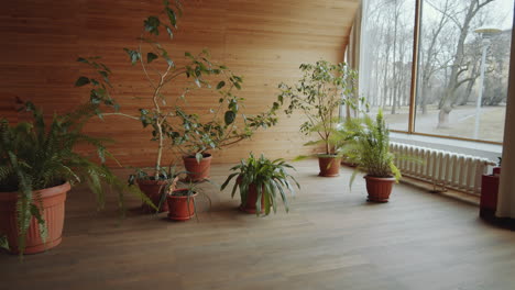 Modern-Library-Auditorium-with-Plants