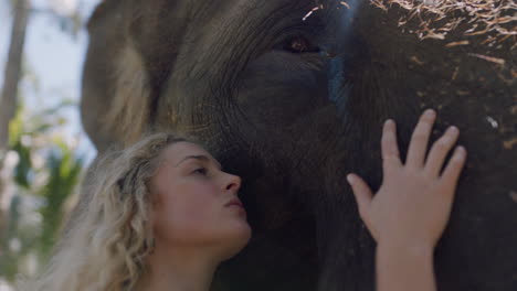 nature woman touching elephant caressing animal companion enjoying friendship 4k