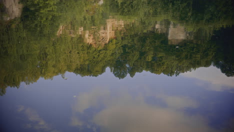 vista del lago en verano