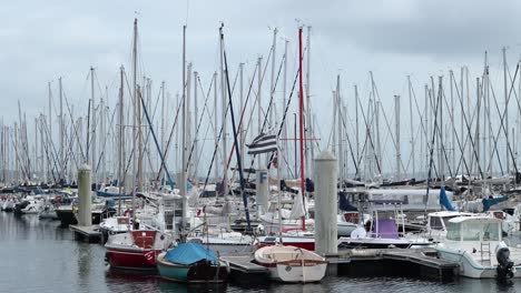 fleet of sailboats tied to docks in brest, france marina