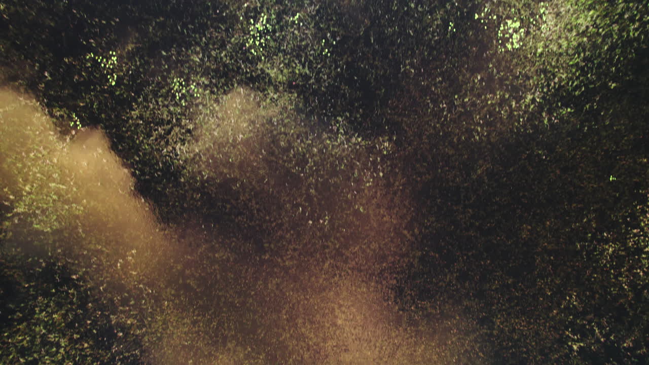 Swamp Marsh Slough Top Down Aerial