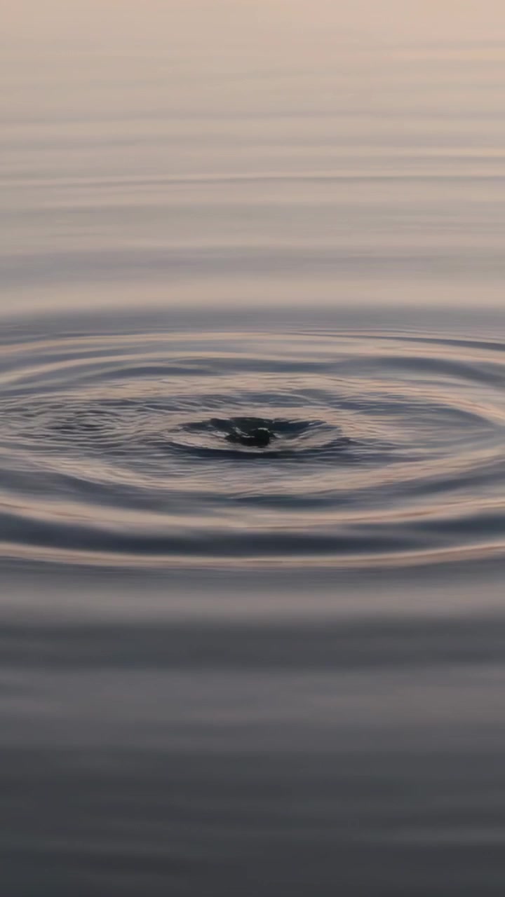 Video verticale: Bolla scura che emerge creando increspature su un lago calmo all'alba, riflesso tenue del cielo.