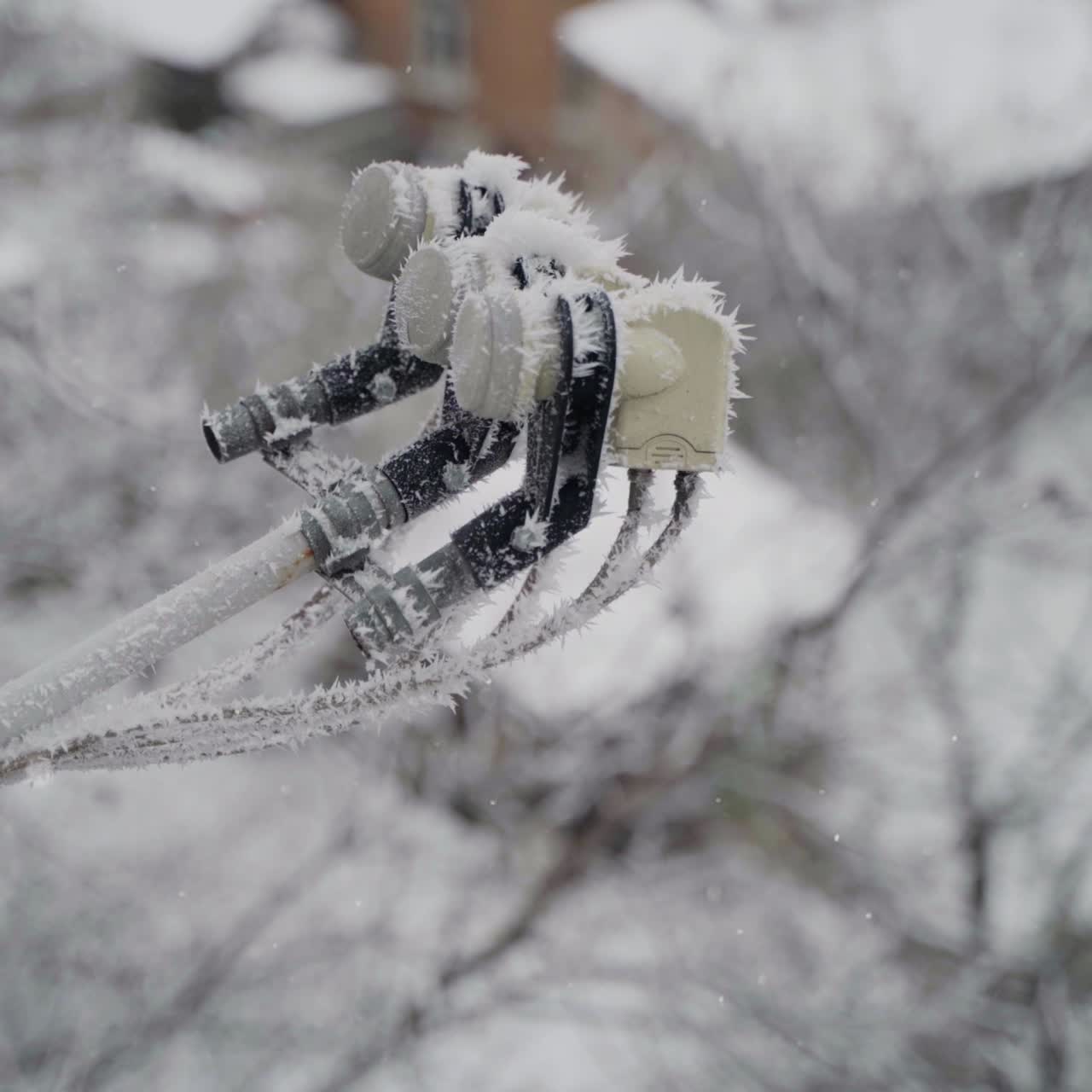 Frozen satellite dish