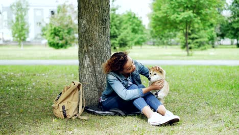 kind african-american girl caressing beautiful shiba inu dog sitting in the park on grass under the tree with city landscape visible in background.