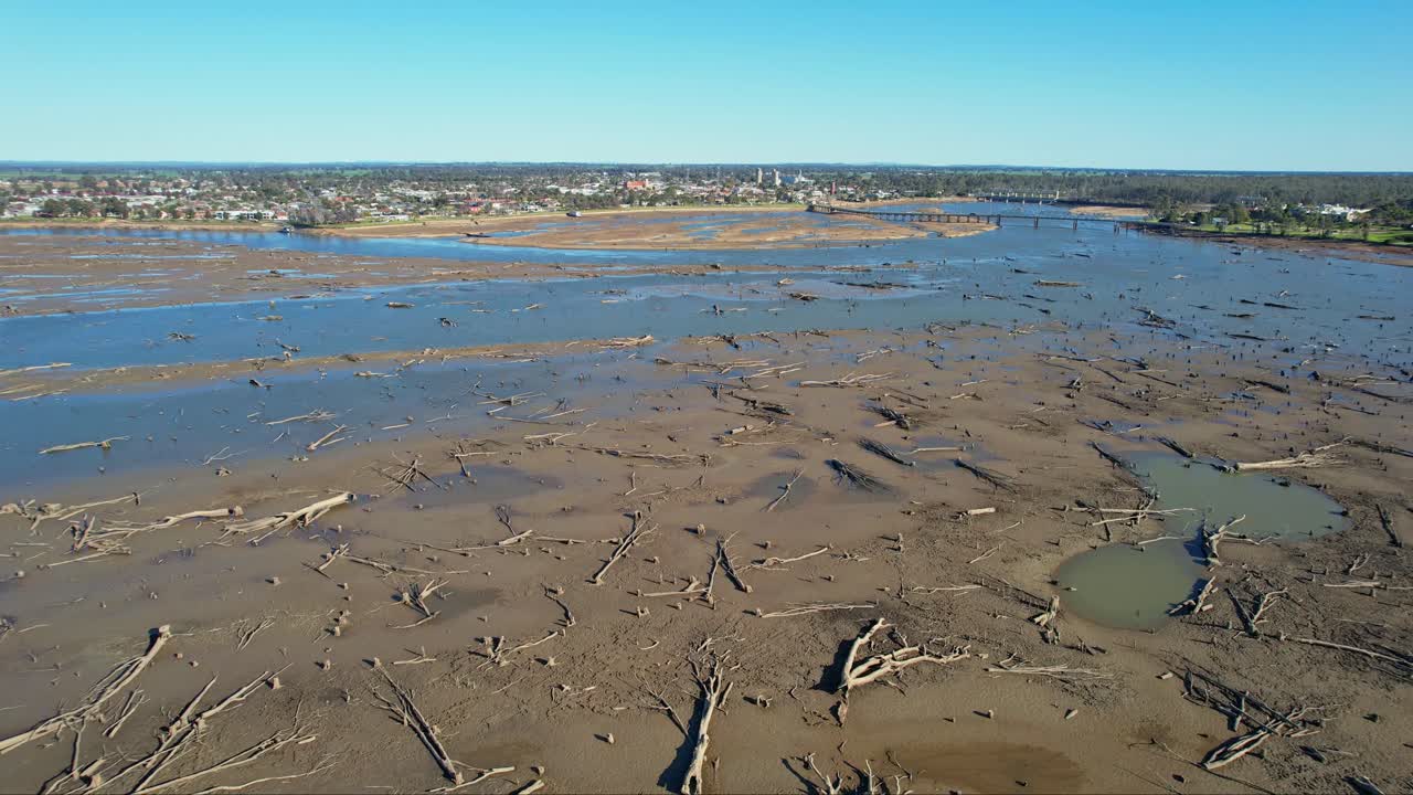 moviéndose sobre los árboles muertos que yacen en el barro del lago mulwala después de que el lago fue drenado en 2022