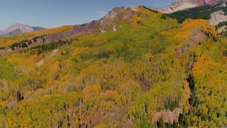 aspens turning on kebler pass, colorado
