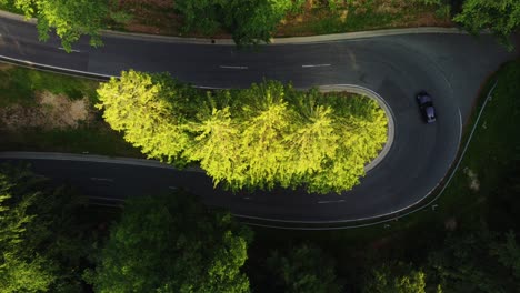 Static-drone-shot-of-the-car-taking-a-sharp-turn-in-the-green-forest-in-summer